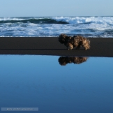 5III8983 sq_resize.JPG