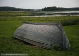 Михайловское. У реки Сороть (2009)