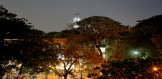 5III4083 cr+li_resize.JPG