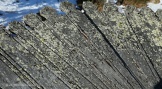5III0396 cr1.JPG